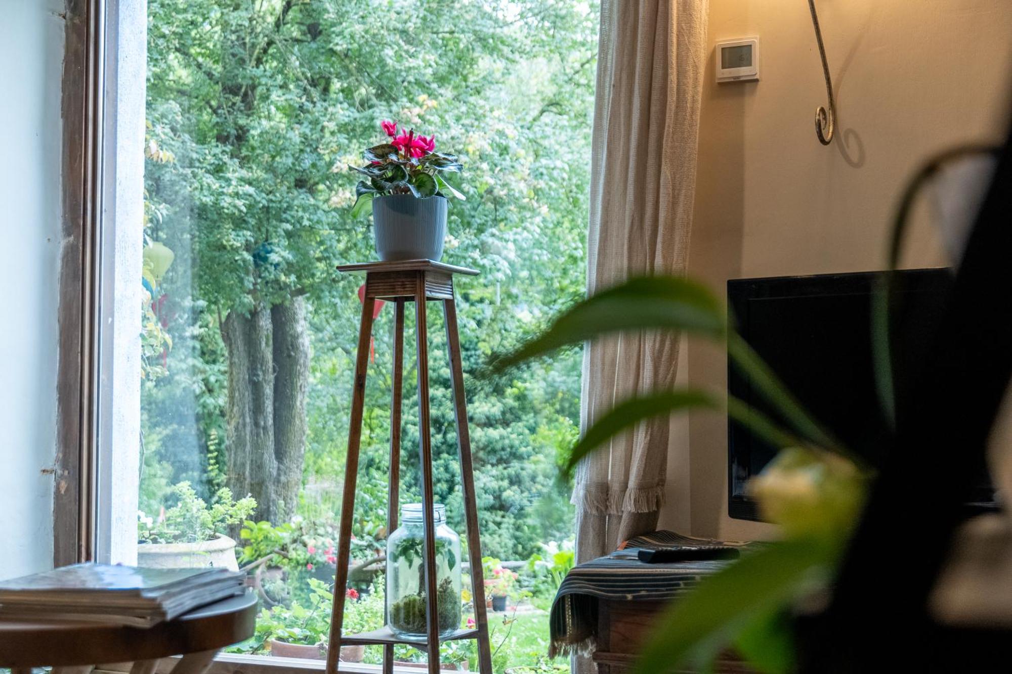 Casa Maria Berna Villa Sarvisé Eksteriør billede